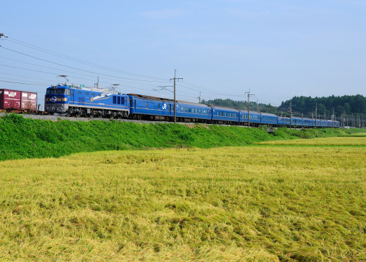 539098 (a): :1920x1370